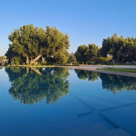 Villa Coriandre Εσαουίρα Εξωτερικό φωτογραφία